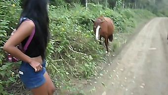 Teen (18+) Gets A Cumshot From Horse Cock