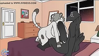 Squealydealy Animált Interracial Élménye Cicivel És Yiff-El