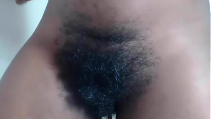 Ebony Ex'S: Most Viewed Hairy Video