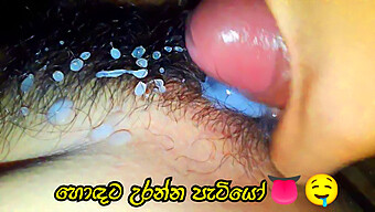 Sinhala Porn Video With A Close-Up Of A Hairy Pussy