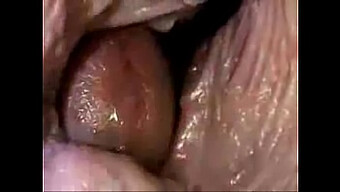 Pov Video Of Semen In Vagina