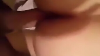 Amateur Algerian Guy Shows Off His Big Cock In Hd Video