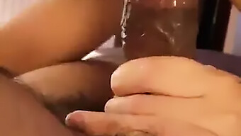 Mixing Race Slut Sucking Brownie In Pov