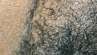 Gran Polla Negra Folla Un Coño Gordo Y Peludo En Video Porno